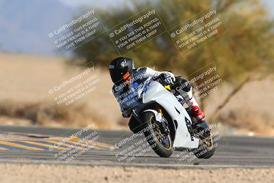 media/Jan-14-2024-SoCal Trackdays (Sun) [[2e55ec21a6]]/Turn 4 Tree of Life (155pm)/